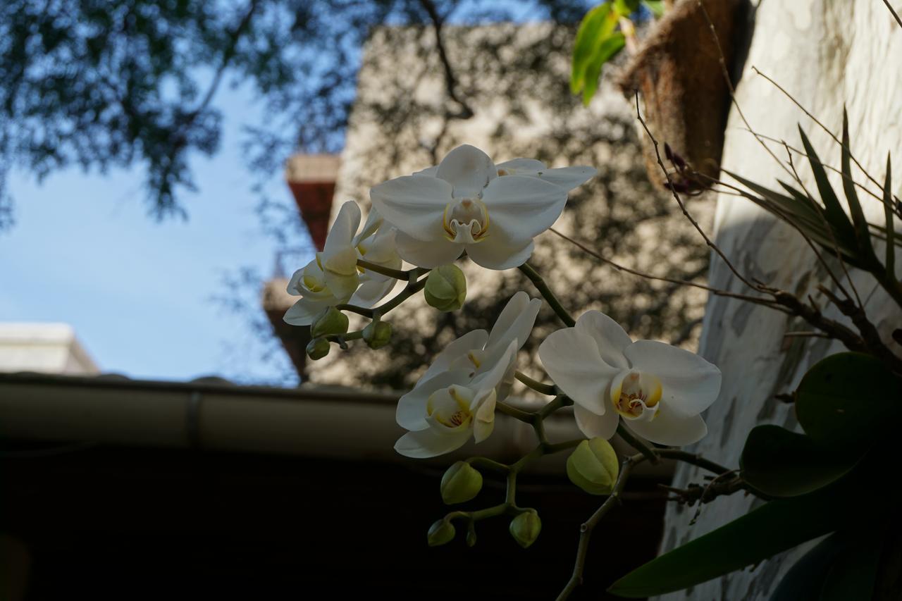 Pouso Da Garca Bed & Breakfast Cabo Frio Luaran gambar