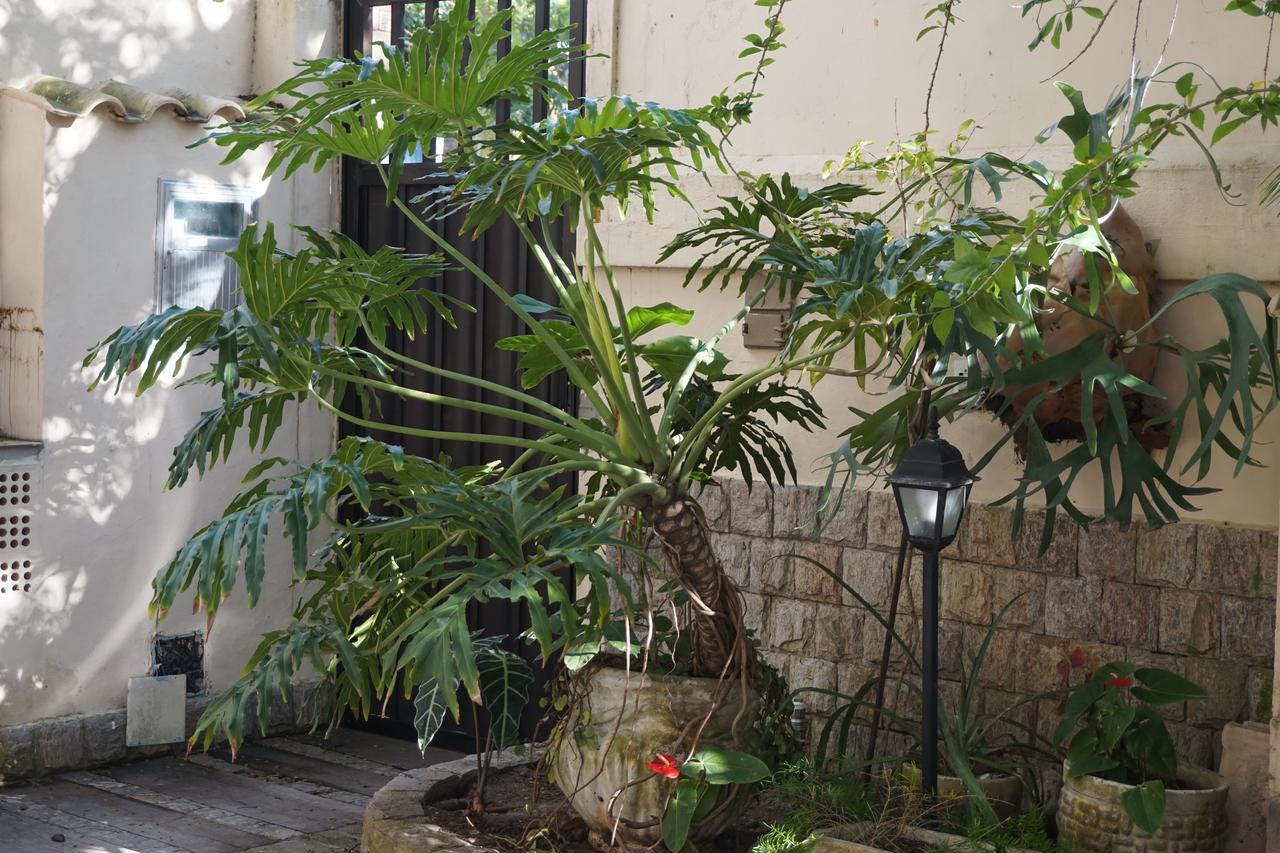 Pouso Da Garca Bed & Breakfast Cabo Frio Luaran gambar